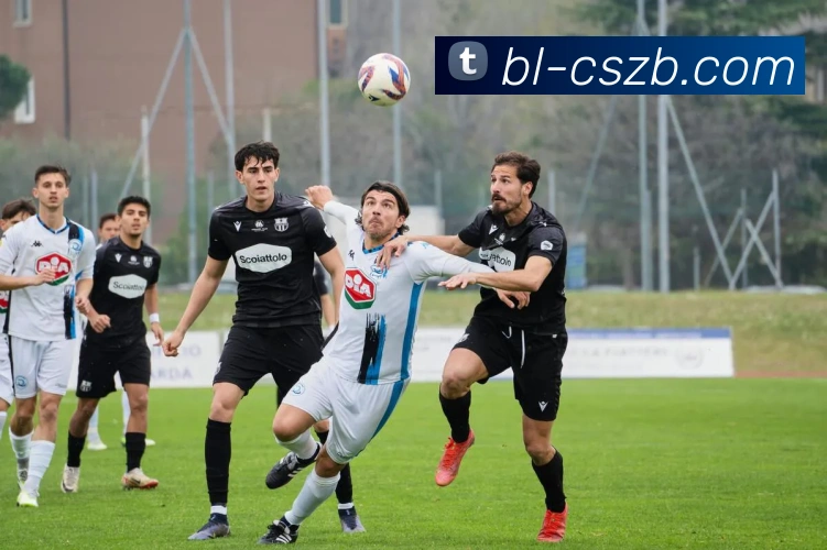 彩神争霸平台生态图